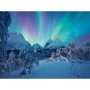 Ravensburger - Puzzle spectacol arctic 1500 piese Ravensburger - 1